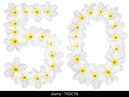 50, 50, chiffre blanc naturel de fleurs de jonquille (Narcissus), isolé sur fond blanc Banque D'Images