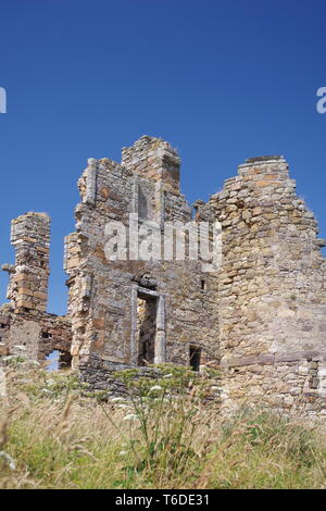 Vestiges de Château de Newark et Dovecot sur les falaises par St Monans sous le soleil d'été. Fife, Scotland, UK. Banque D'Images