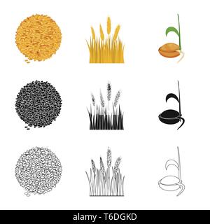 Semences graines,printemps,,spike,grandir,orge,Culture,root, pain, céréales,terrain,blé,campagne,germination germination,or,automne,processus,rural,mûrs,DE,plantation,évolution,avoine,l'agriculture l'agriculture,seigle,usine,blé,maïs,grain,récolte,ferme,,champ,set,icône,illustration,isolé,collection,design,élément,graphique,signe,vecteurs vecteur , Illustration de Vecteur