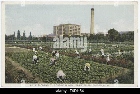 Carte postale avec une image couleur de la Caisse nationale de l'entreprise Jardin des garçons, avec plusieurs garçons en premier plan, se penchant pour des parcelles de terres verdoyantes ont tendance, et avec la Caisse nationale de bureaux de l'entreprise, bâtiments d'usine, cheminée et visible à l'arrière-plan ; situé à Dayton, Ohio, 1914. À partir de la Bibliothèque publique de New York. () Banque D'Images