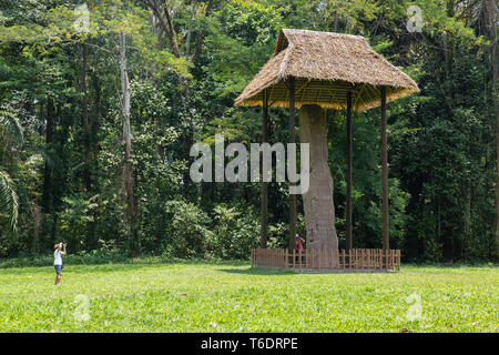 Quirigua Guatemala Mayan Ruins - touristes photographiant les menhirs sculptés ou stèles, Quirigua, site du patrimoine mondial de l'Amérique centrale Banque D'Images