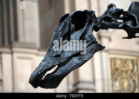 Dippy, le Musée d'histoire naturelle ; la fameuse squelette de dinosaure Diplodocus. Dippy s'aventure hors de Londres pour la première fois depuis 1905 Banque D'Images