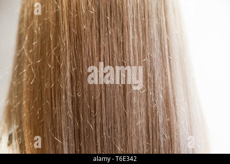 Verticalement à partir de cheveux de la fille en arrière peint, Close up longue ligne droite femelle de cheveux blonds Banque D'Images