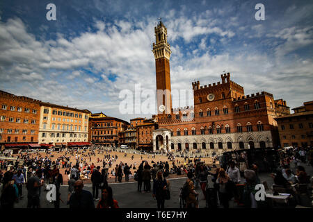 Piazza del Campo à Sienne, Tour du Mangia, Italie, Toscane, Province de Sienne Banque D'Images