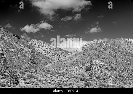 Le Desert Hills de buissons et de broussailles sous ciel noir avec des nuages blancs. Banque D'Images