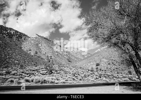 Noir et blanc, côté montagne, avec des buissons et des arbres de la route. Ciel avec nuages duveteux. Banque D'Images