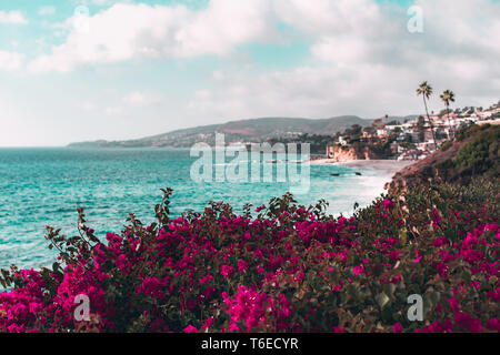 Des fleurs tropicales le long de l'océan Pacifique avec des palmiers et de la ville de Laguna Beach, Californie, USA dans l'arrière-plan Banque D'Images