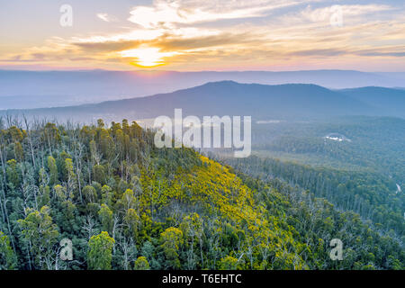 Parc national de Yarra au coucher du soleil Banque D'Images