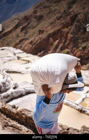 La collecte de sel à des travailleurs appartenant à la famille des étangs d'évaporation de sel de Maras des mines dans la Vallée Sacrée, Cuzco, Pérou Région Banque D'Images