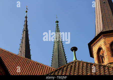 Dome 002 Schleswig. Allemagne Banque D'Images