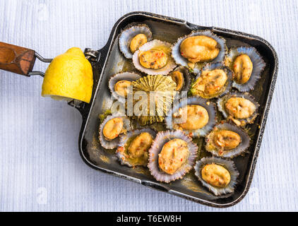 Les patelles grillées à la poêle servi avec du citron Banque D'Images