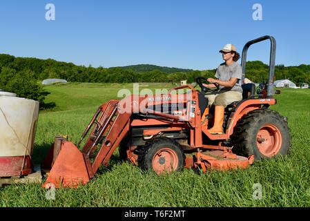 Travailleuse de la productrice, groupe à la croissance la plus rapide des agriculteurs, l'eau en mouvement pour les porcs de l'élevage à l'extérieur du tracteur Kubota, Decorah, Iowa, États-Unis Banque D'Images