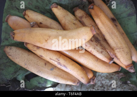 Les racines de lotus biologiques crus prêts à cuire , Thai snack brute Banque D'Images