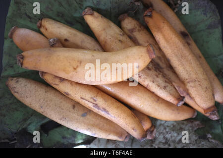 Les racines de lotus biologiques crus prêts à cuire , Thai snack brute Banque D'Images