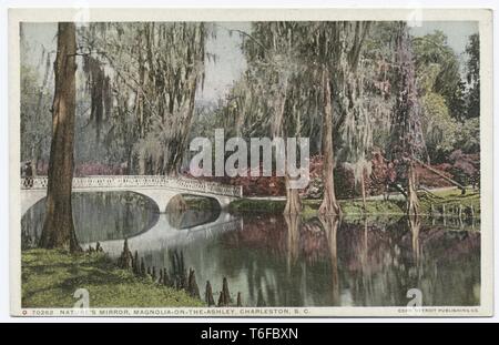 Detroit Publishing Company vintage postcard reproduction de Nature's Mirror, Magnolia à côté d'Ashley, Charleston, Caroline du Sud, 1914. À partir de la Bibliothèque publique de New York. () Banque D'Images