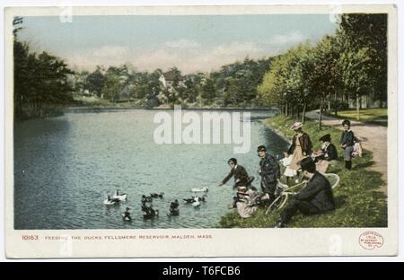 Detroit Publishing Company vintage postcard la reproduction de personnes nourrir les canards à Fellsmere réservoir, Malden, Massachusetts, 1906. À partir de la Bibliothèque publique de New York. () Banque D'Images