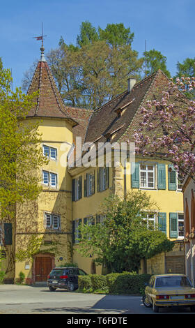 Château de la ville de Staufen im Breisgau Banque D'Images