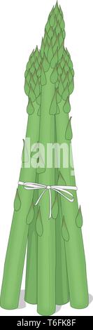 Les asperges Vector Illustration Illustration de Vecteur