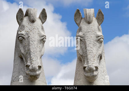Chevaux Banque D'Images