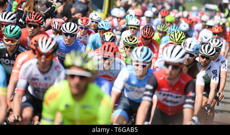 Eschborn, Allemagne. 01 mai, 2019. Le domaine de riders commence à l'cycling classic Rund um den place financière Eschborn-Frankfurt. Dpa : Crédit photo alliance/Alamy Live News Banque D'Images