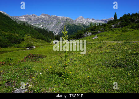 Paysage alpin, l'Autriche, le Vorarlberg, Europe Banque D'Images