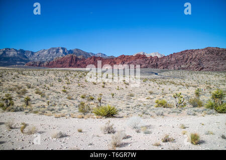 Meonkopi Boucle dans Red Rock Canyon Conservation Area, Nevada Banque D'Images