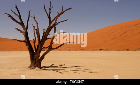 Sossusvlei, Namibie Banque D'Images