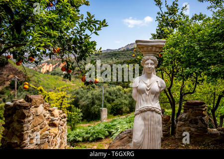 De plus en plus orange tree aux côtés d'une statue dans le parc botanique, la Crète. Banque D'Images