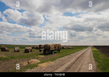 Les rouleaux de foin dans les champs de Serbie sont prêts pour le transport, certains déjà chargés sur une remorque de tracteur, mettant en valeur la vie rurale agricole Banque D'Images