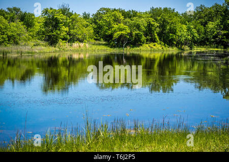 Un lac magnifique parc dans Hagerman Wildlife Refuge, Texas Banque D'Images