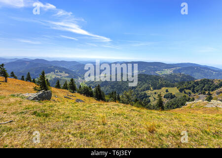 Panorama sur la colline du mont Belchen, Haute Forêt Noire, en Allemagne, en vue d'Kleines Wiesental et les Alpes, district Lörrach Banque D'Images