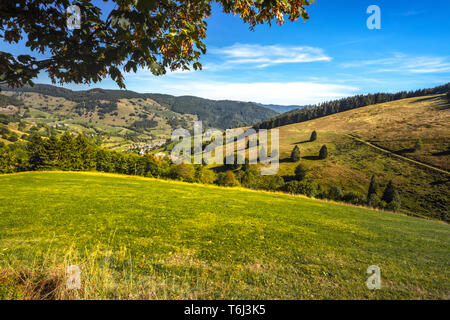 Haute vallée de Wieden, Allemagne, région du Wiedener Eck, le sud du Parc Naturel de la Forêt Noire, de la communauté Schönau im Schwarzwald, district Lörrach Banque D'Images