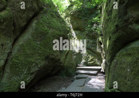 Belle gorge de montagne. Des rochers couverts de mousse. Banque D'Images