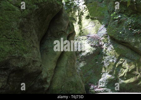 Belle gorge de montagne. Des rochers couverts de mousse. Banque D'Images