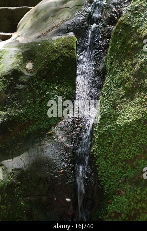 Belle gorge de montagne. Des rochers couverts de mousse. Banque D'Images