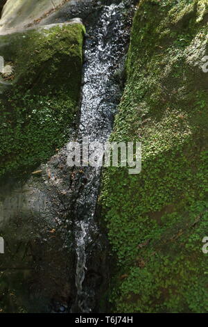 Belle gorge de montagne. Des rochers couverts de mousse. Banque D'Images