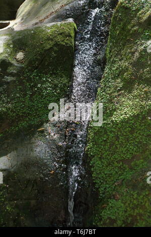 Belle gorge de montagne. Des rochers couverts de mousse. Banque D'Images