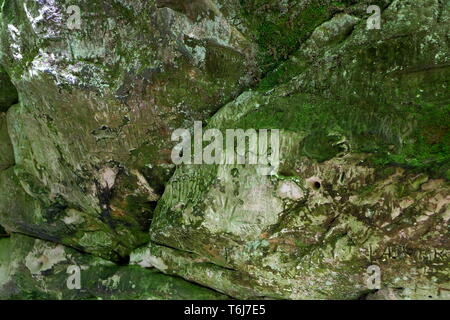 Belle gorge de montagne. Des rochers couverts de mousse. Banque D'Images