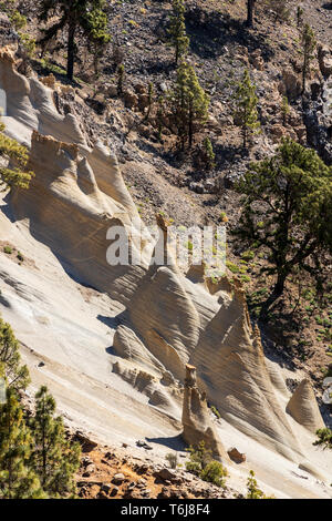 Le Paisaje lunar, paysage lunaire paysage volcanique érodée avec Pinus canariensis, pins canariens près de Vilaflor, Tenerife, Canaries, Spai Banque D'Images