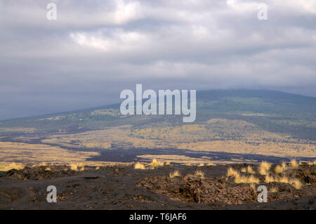 Belle vue à partir d'un champ de lave et sur le Mt. Hualalai en arrière-plan sur Big Island, Hawaii Banque D'Images