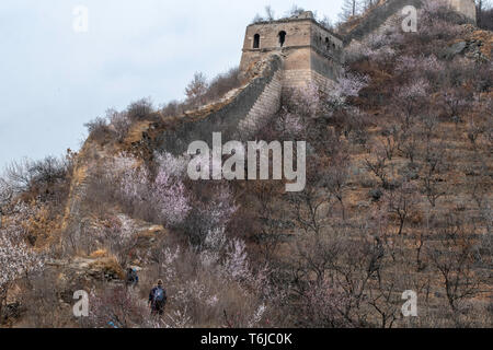 Huanghuacheng est la grande muraille de Chine et en généralement pas réparé et moins commune pour les voyageurs et une courte distance en voiture de Pékin Banque D'Images