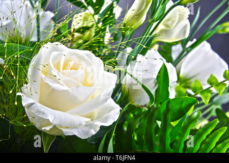 La composition avec bouquet de fleurs fraîchement coupées. Banque D'Images