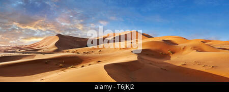 Sable parabolique Sahara dunes de l'Erg Chebbi, Maroc, Afrique Banque D'Images