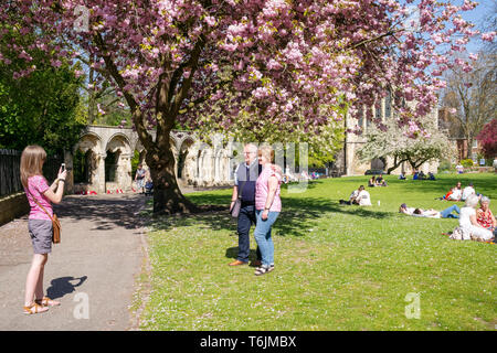 La capture de l'instant sur une chaude journée de printemps, Dean's Park, York, UK Banque D'Images