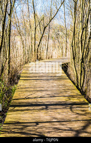 Une promenade sur l'un des lacs à Cotswold Water Park. Banque D'Images