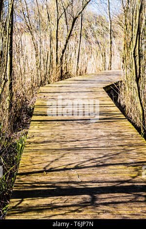 Une promenade sur l'un des lacs à Cotswold Water Park. Banque D'Images