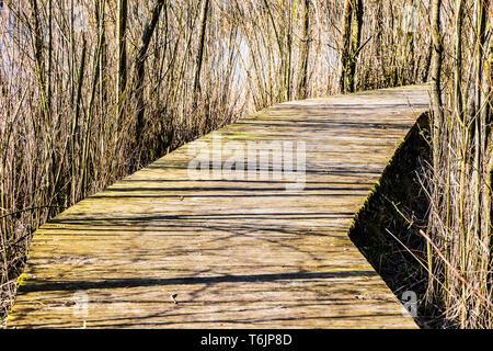 Une promenade sur l'un des lacs à Cotswold Water Park. Banque D'Images