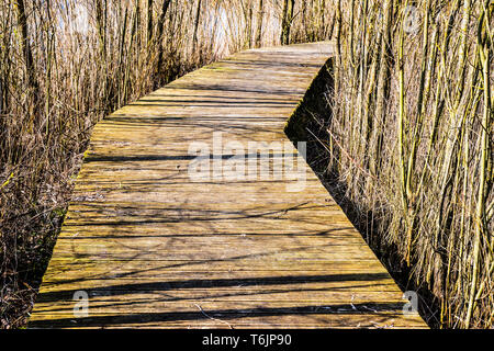 Une promenade sur l'un des lacs à Cotswold Water Park. Banque D'Images