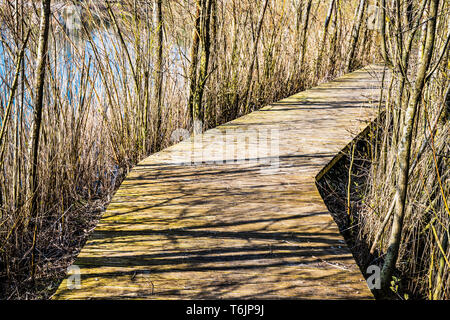 Une promenade sur l'un des lacs à Cotswold Water Park. Banque D'Images