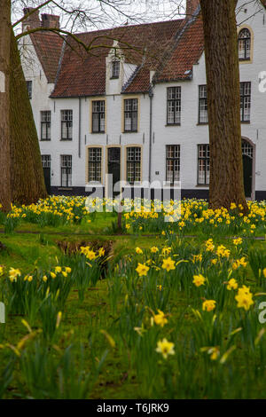 Béguinage de Bruges, site du patrimoine mondial de l'Brugge béguinage. Location Bruges, Flandre occidentale, Flandre orientale, Belgique Le Béguinage princier dix Wijngaer Banque D'Images